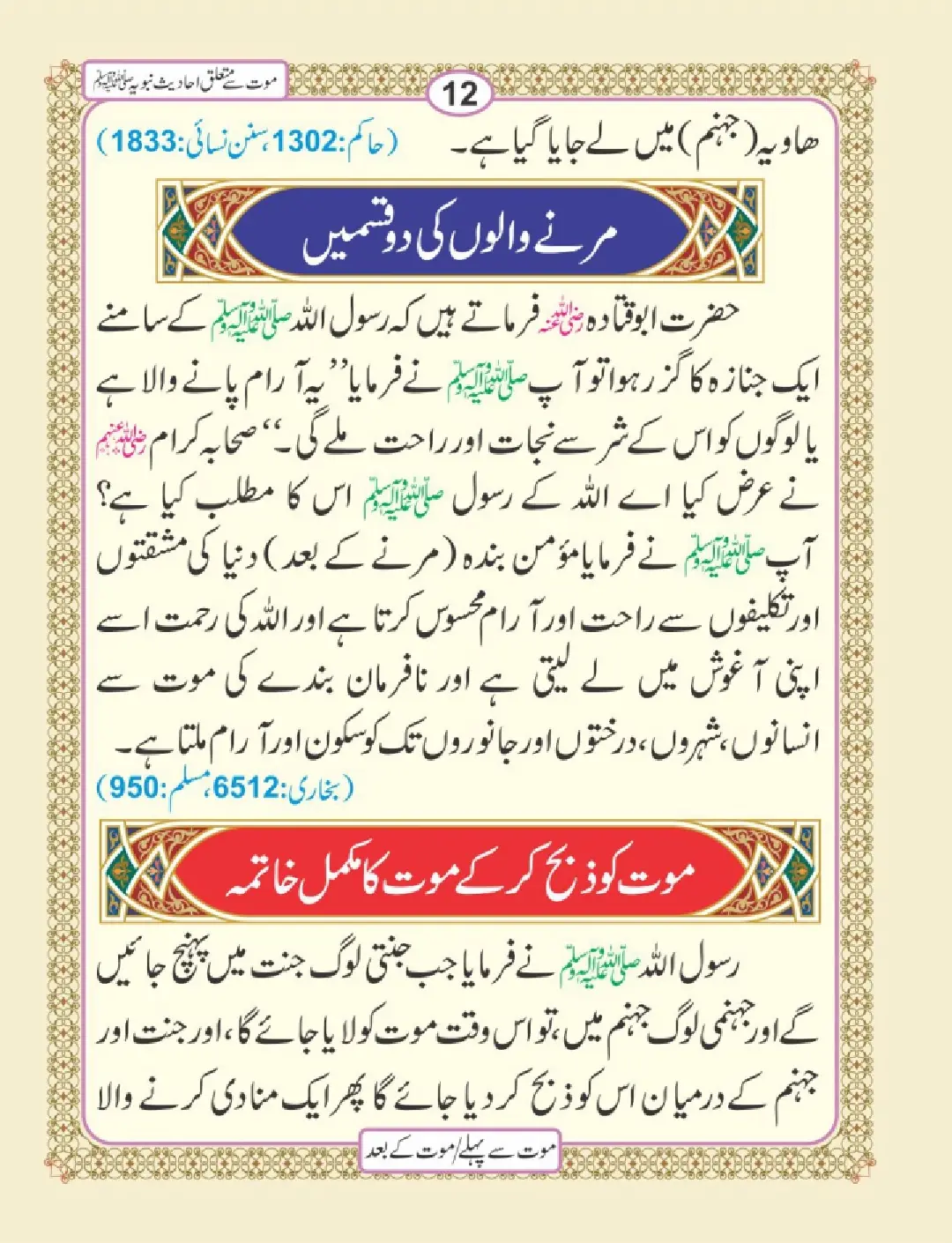 موت سے پہلے اور موت کے بعد page 16