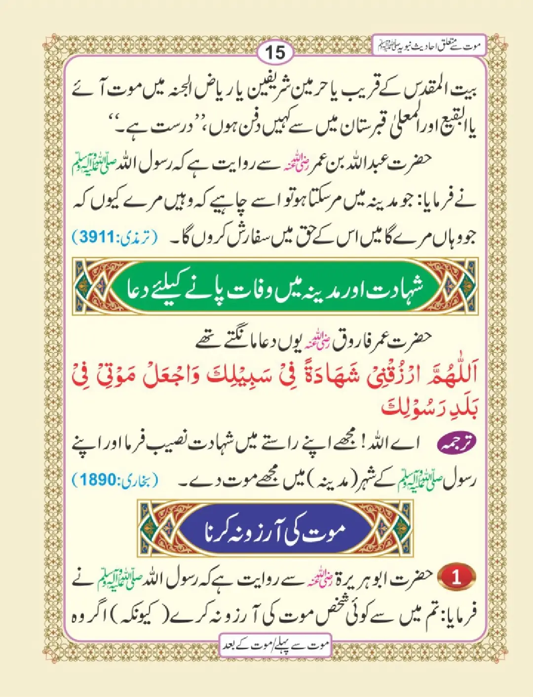 موت سے پہلے اور موت کے بعد page 19
