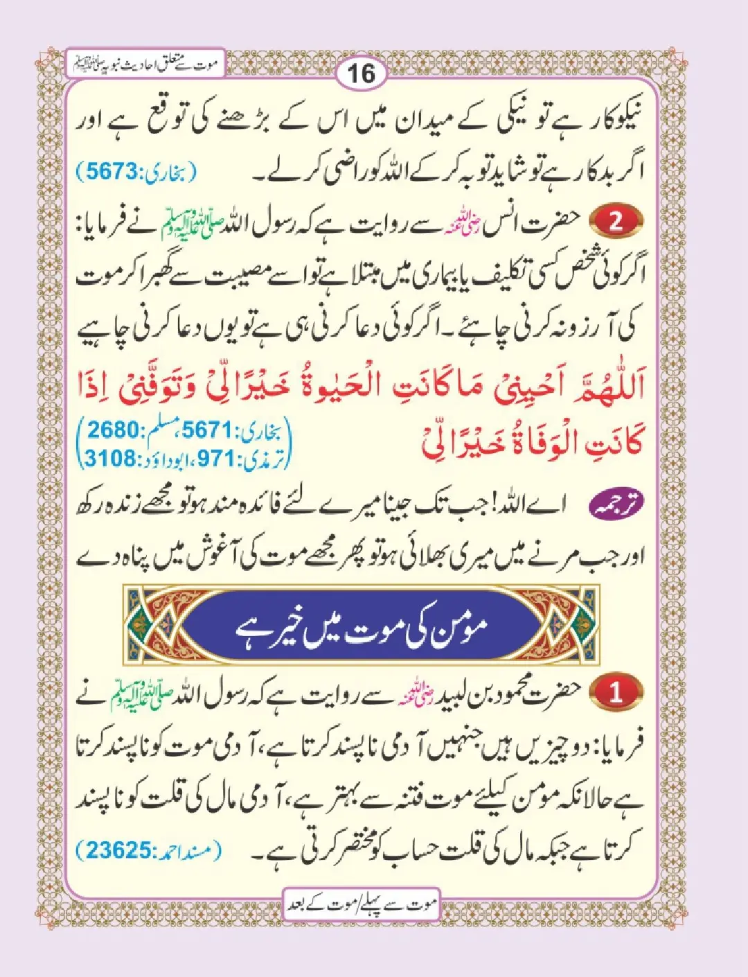 موت سے پہلے اور موت کے بعد page 20