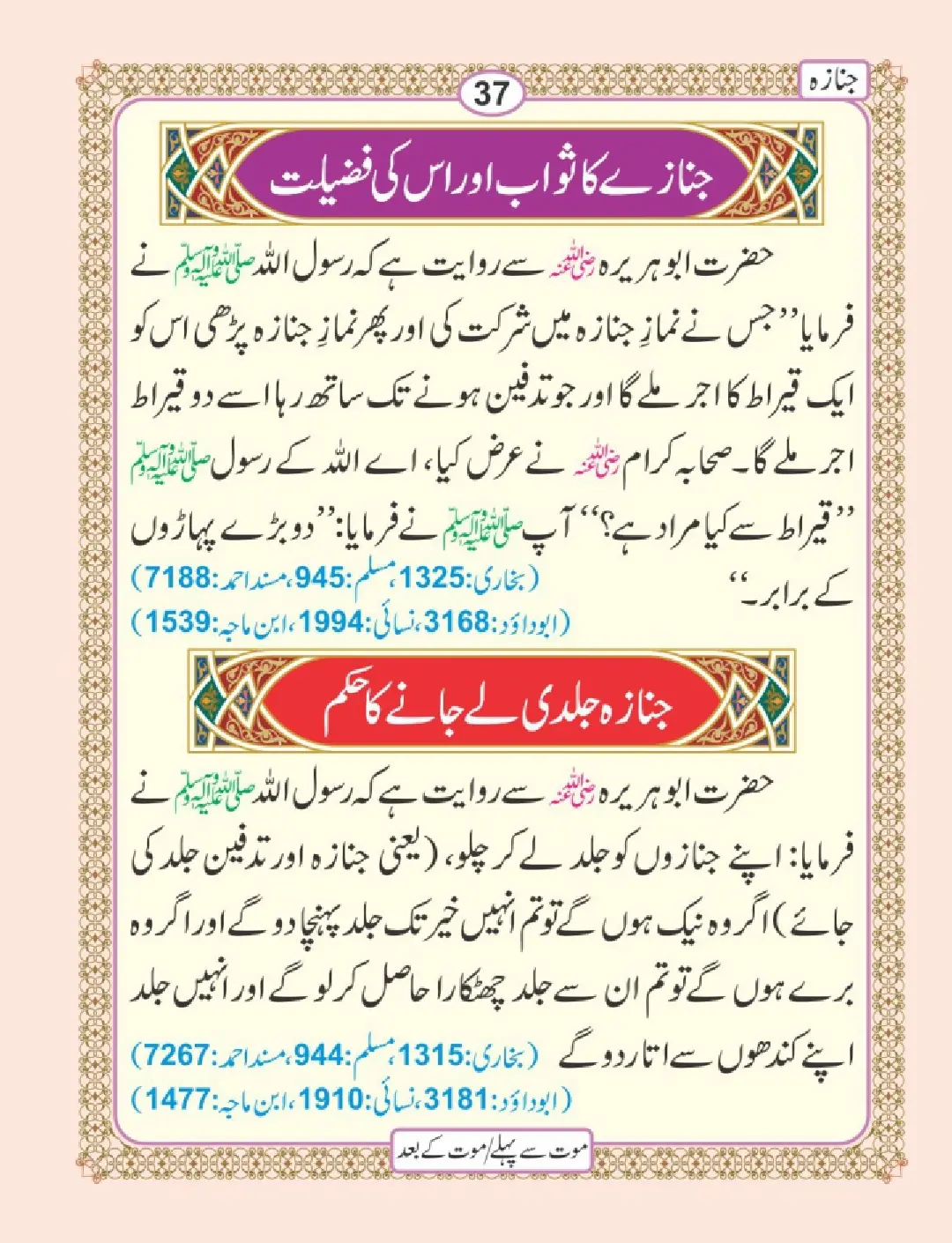 موت سے پہلے اور موت کے بعد page 41