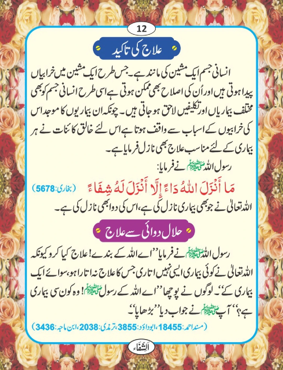 شفا کی دعائیں page 13